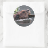 bever ronde sticker (Tas)