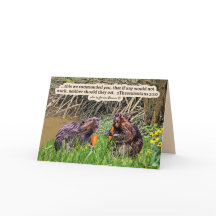  Bever Schrift 2Thessalonicenzen 3:10