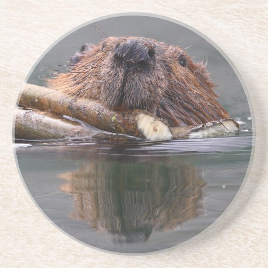 bever zandsteen onderzetter (Voorkant)