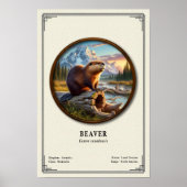 Bever Zoölogie Serie Poster (Voorkant)