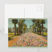 Beverly Gardens, Beverly Hills, Californië Briefkaart (Voorkant / Achterkant)