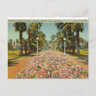 Beverly Hills Flowers Briefkaart