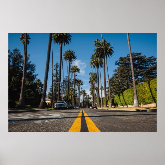Beverly Hills Streets, California, USA Poster (Voorkant)