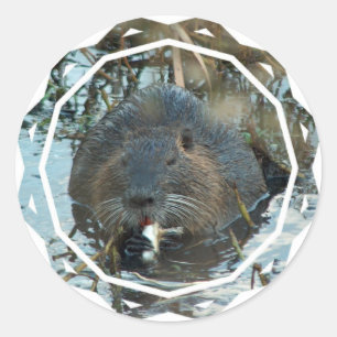 Bevers Habitat Stickers