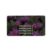 Beverstaart cactussen etiket (Voorkant)