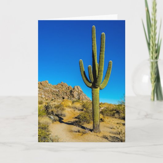 Bevindende Cactus Kaart (Voorkant)