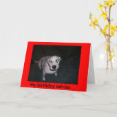 Bevlekt adviseer kaart (Gele Bloem)