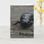 Bevlekte Salamander Kaart (Gele Bloem)