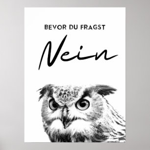 Bevor Du fragst Nein. Lustiges Eulen Poster
