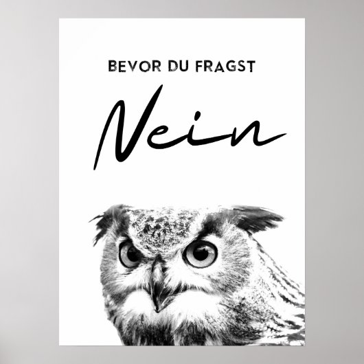 Bevor Du fragst Nein. Lustiges Eulen Poster (Voorkant)