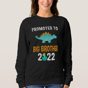 Bevorderd aan Big Brother 2022 jongens Stegosaurus Trui