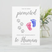 Bevorderd van de Zwangerschap van nieuwe grootoude Aankondiging (Staand voorkant)