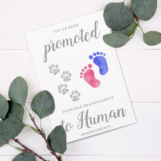 Bevorderd van de Zwangerschap van nieuwe grootoude Aankondiging