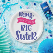 Bevordering tot grote zuster papieren bordje (Feest)