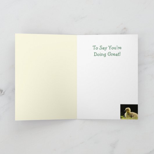 Bevordering van Baby-vogelpest Kaart (Binnen)