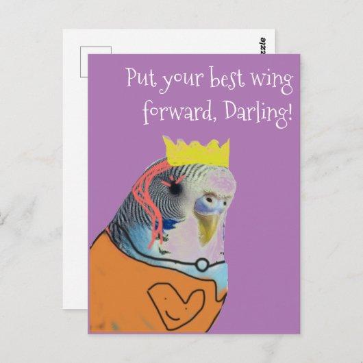 Bevordering van fancy parkieten briefkaart (Voorkant / Achterkant)