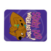 Bevriesde Scooby-Doo Magneet (Horizontaal)