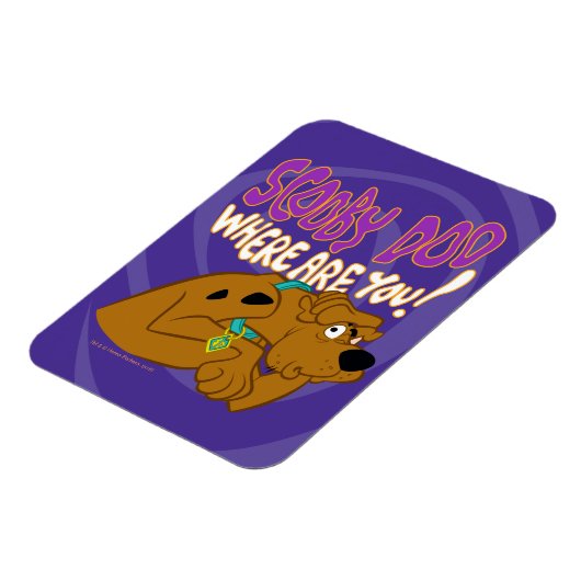Bevriesde Scooby-Doo Magneet (Linkerzijde)