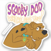 Bevriesde Scooby-Doo Sticker (Voorkant)