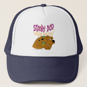 Bevriesde Scooby-Doo Trucker Pet