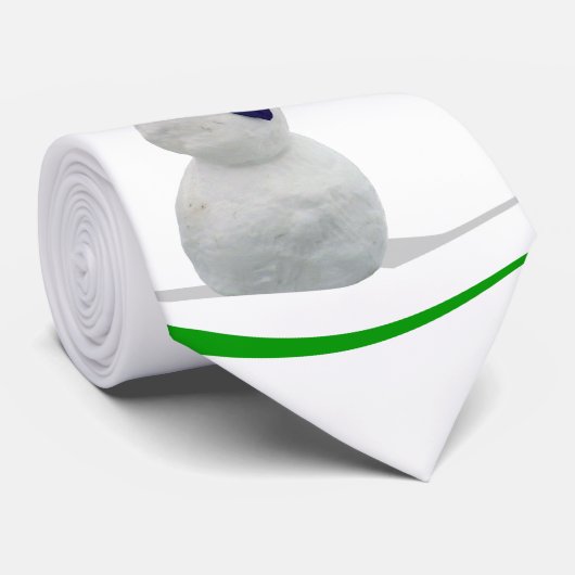 Bevriezing van de Kast Stropdas (Opgerold)