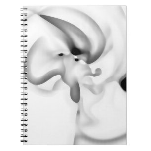 Bevroren: Abstract grijs, wit & zwart Notitieboek