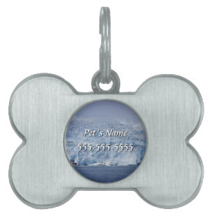 Bevroren Beauty Pet Name Tag Huisdieren Naamplaatje