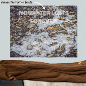 Bevroren bergstroom poster