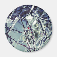 Bevroren Berry Magnet