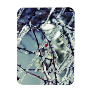 Bevroren berry Premium Magnet Magneet