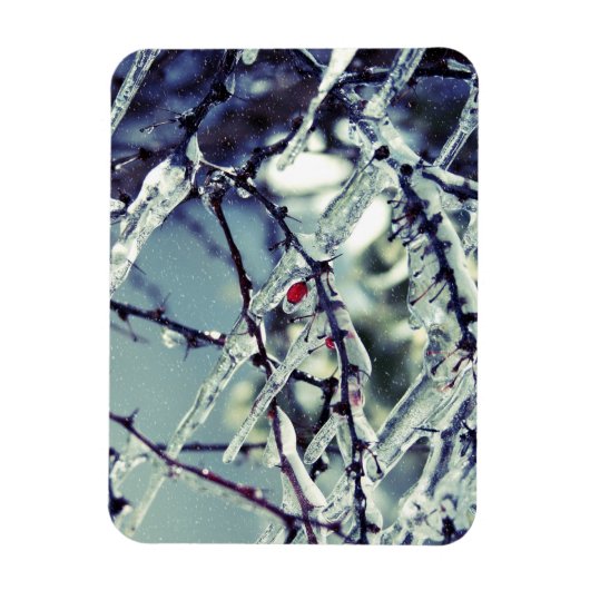 Bevroren berry Premium Magnet Magneet (Verticaal)