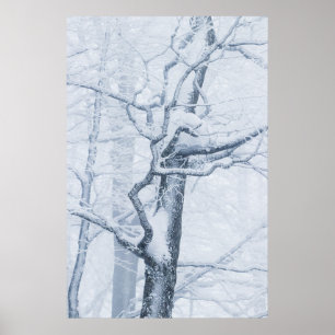 Bevroren besneeuwde boom poster