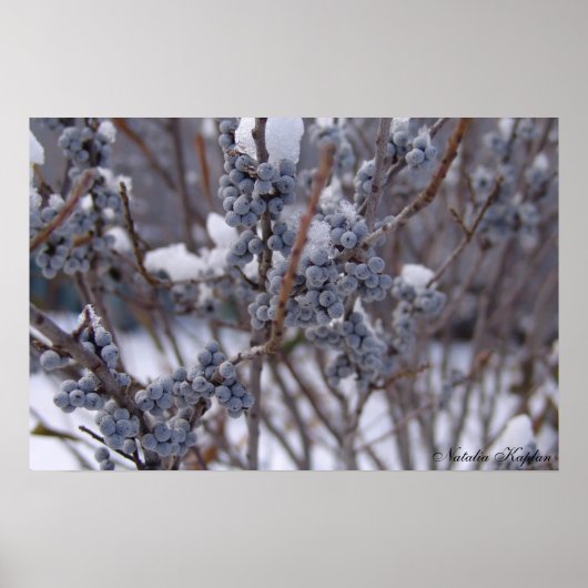 Bevroren bessen poster (Voorkant)