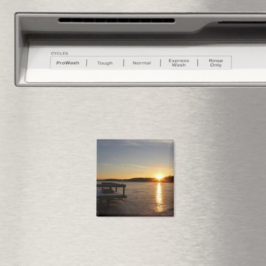 Bevroren Bezinning Magneet (Insitu (Vaatwasser))