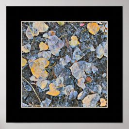 Bevroren bladeren poster