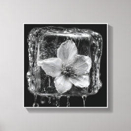 Bevroren Bloem Smeltend Ijs Canvas Afdruk