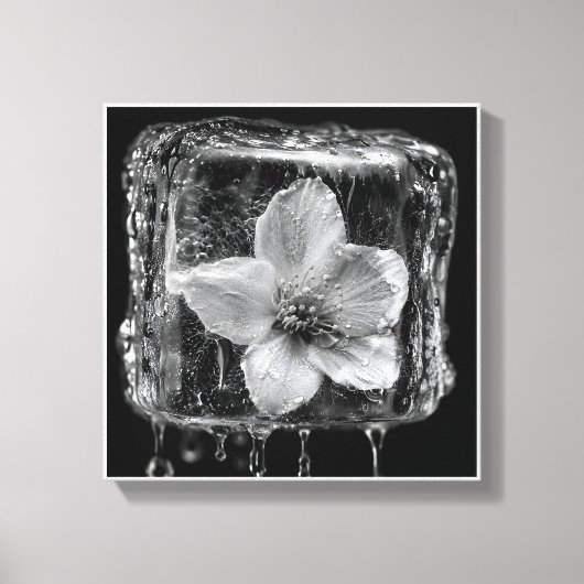 Bevroren Bloem Smeltend Ijs Canvas Afdruk (Voorkant)