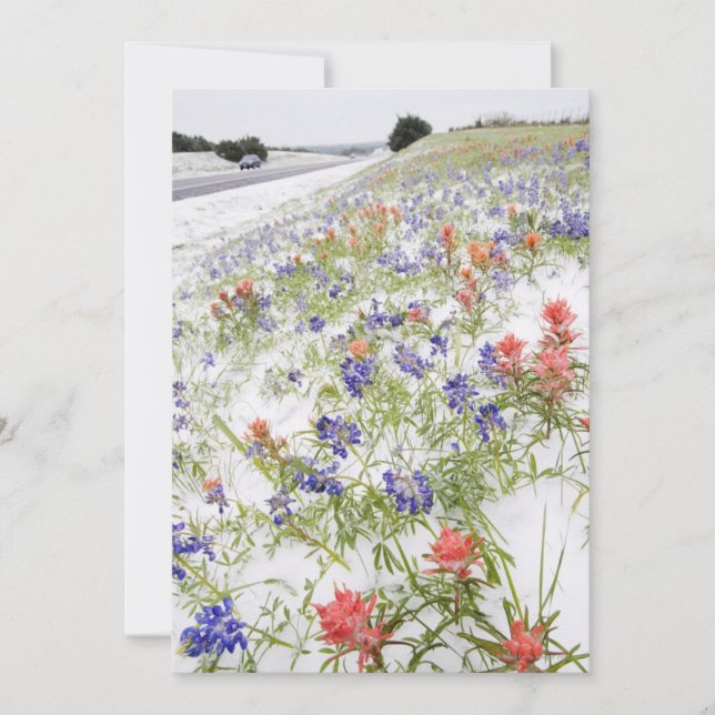 Bevroren bloemen (Voorkant)