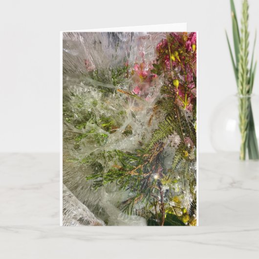 Bevroren Bloesems, Kaart (Voorkant)