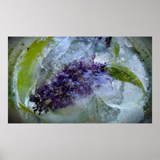 Bevroren Bloesems Poster