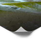 Bevroren Bloesems Poster (Hoek)