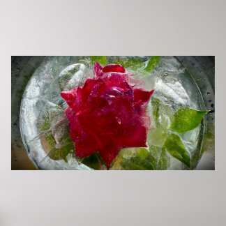Bevroren Bloesems Poster