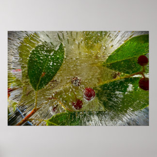 Bevroren Bloesems Poster