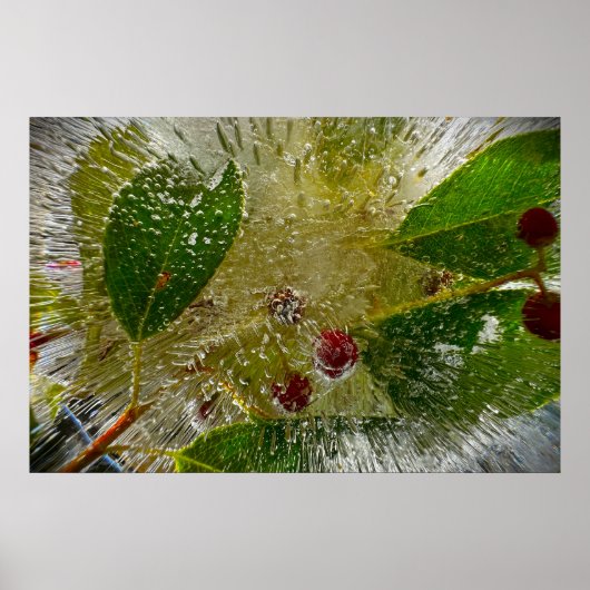 Bevroren Bloesems Poster (Voorkant)