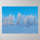 Bevroren Bomen Poster (Voorkant)