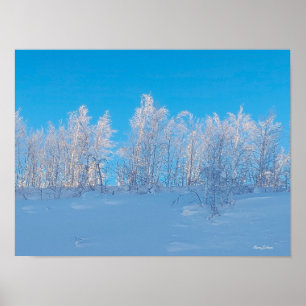 Bevroren Bomen Poster