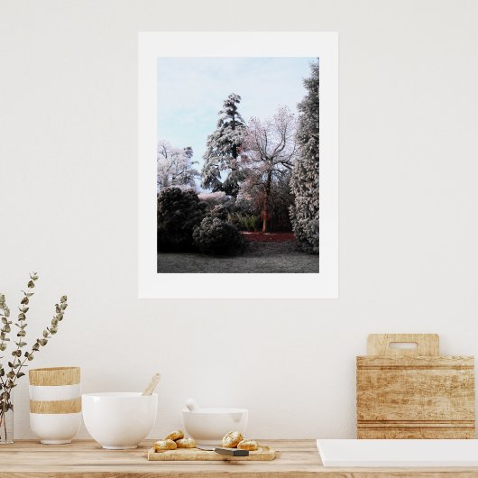Bevroren bomen poster (Keuken)