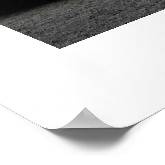 Bevroren bomen poster (Hoek)