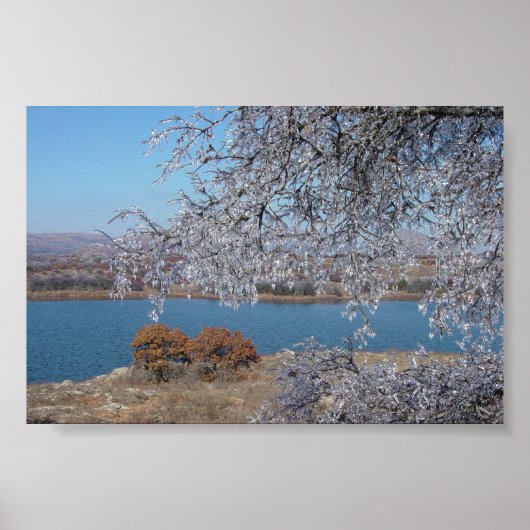 Bevroren bomen poster (Voorkant)