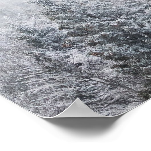 Bevroren bos poster (Hoek)